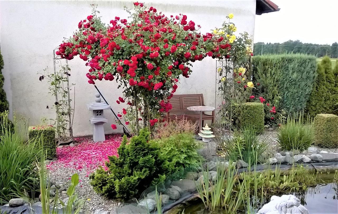 Ferienwohnung Beim Ried 巴德瓦德西 外观 照片